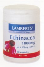 echinacea 1000mg.jpg (6880 bytes)