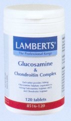 glucosamine and chondroitin.jpg (8179 bytes)