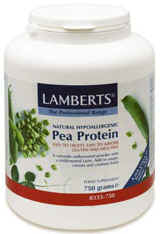 pea protein 